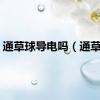 通草球导电吗（通草球）