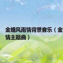 金婚风雨情背景音乐(金婚风雨情主题曲)