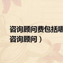 咨询顾问费包括哪些（咨询顾问）