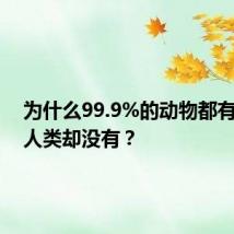 为什么99.9%的动物都有尾巴，人类却没有？