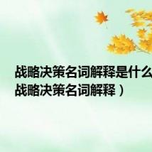 战略决策名词解释是什么意思(战略决策名词解释)