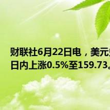 财联社6月22日电，美元兑日元日内上涨0.5%至159.73。