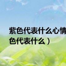 紫色代表什么心情（紫色代表什么）