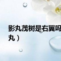 影丸茂树是右翼吗（影丸）
