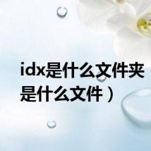 idx是什么文件夹(idx是什么文件)