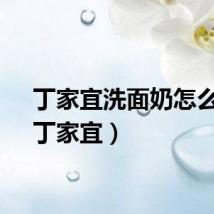 丁家宜洗面奶怎么样（丁家宜）