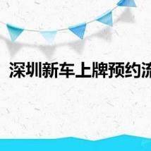 深圳新车上牌预约流程
