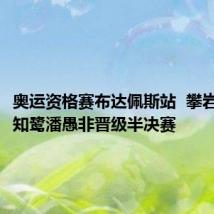 奥运资格赛布达佩斯站 攀岩选手骆知鹭潘愚非晋级半决赛