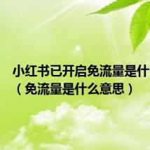 小红书已开启免流量是什么意思(免流量是什么意思)