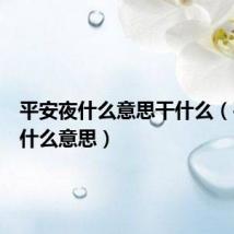 平安夜什么意思干什么(平安夜什么意思)