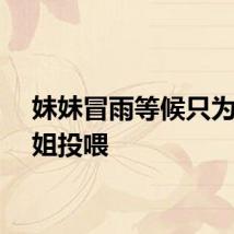 妹妹冒雨等候只为给姐姐投喂