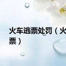 火车逃票处罚（火车逃票）