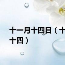 十一月十四日（十一月十四）
