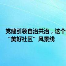 党建引领自治共治,这个镇打造“美好社区”风景线