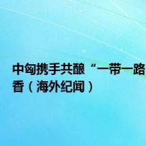 中匈携手共酿“一带一路”新酒香(海外纪闻)