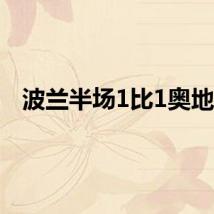 波兰半场1比1奥地利