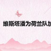 维斯塔潘为荷兰队加油