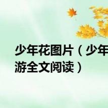 少年花图片（少年花丛游全文阅读）