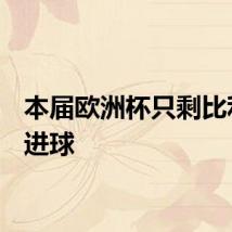 本届欧洲杯只剩比利时0进球