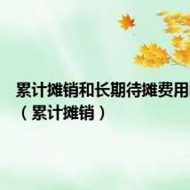 累计摊销和长期待摊费用的区别(累计摊销)