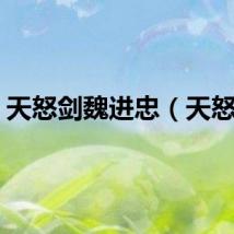 天怒剑魏进忠（天怒剑）