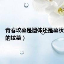 青春坟墓是遗体还是墓状(青春的坟墓)