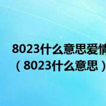 8023什么意思爱情数字（8023什么意思）