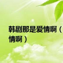 韩剧那是爱情啊（是爱情啊）