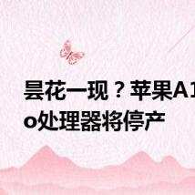 昙花一现?苹果A17 Pro处理器将停产