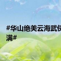 #华山绝美云海武侠感拉满#