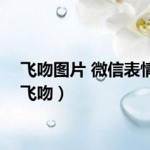 飞吻图片 微信表情包（飞吻）