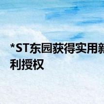 *ST东园获得实用新型专利授权