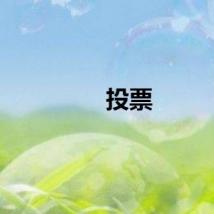 投票