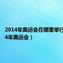 2014年奥运会在哪里举行(2014年奥运会)