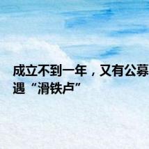 成立不到一年，又有公募FOF遭遇“滑铁卢”