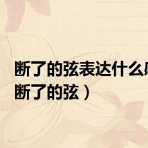 断了的弦表达什么感情（断了的弦）