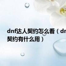 dnf达人契约怎么看(dnf达人契约有什么用)