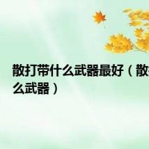 散打带什么武器最好(散打带什么武器)