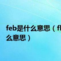 feb是什么意思（fb是什么意思）
