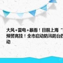 大风+雷电+暴雨!目前上海“两蓝一黄”预警高挂!全市启动防汛防台四级响应行动