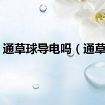 通草球导电吗（通草球）