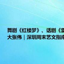舞剧《红楼梦》、话剧《雷雨》、大张伟|深圳周末艺文指南