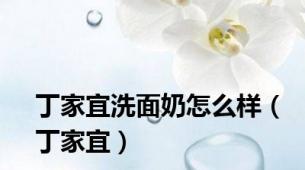 丁家宜洗面奶怎么样（丁家宜）