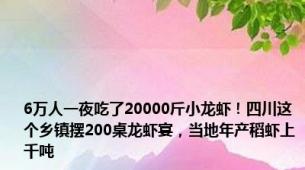 6万人一夜吃了20000斤小龙虾！四川这个乡镇摆200桌龙虾宴，当地年产稻虾上千吨