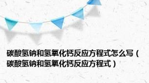 碳酸氢钠和氢氧化钙反应方程式怎么写（碳酸氢钠和氢氧化钙反应方程式）