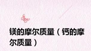 镁的摩尔质量（钙的摩尔质量）