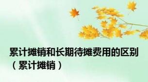 累计摊销和长期待摊费用的区别（累计摊销）