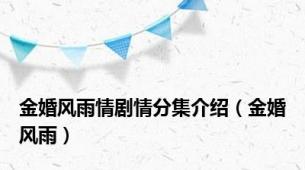 金婚风雨情剧情分集介绍（金婚风雨）