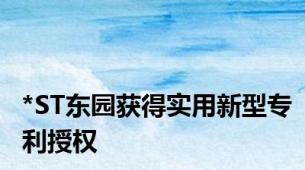 *ST东园获得实用新型专利授权