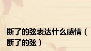 断了的弦表达什么感情（断了的弦）